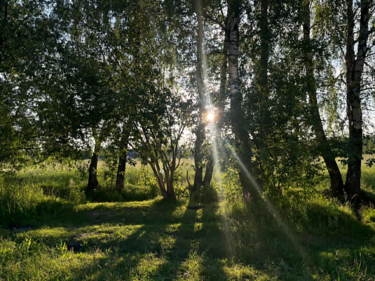 Scenery 3