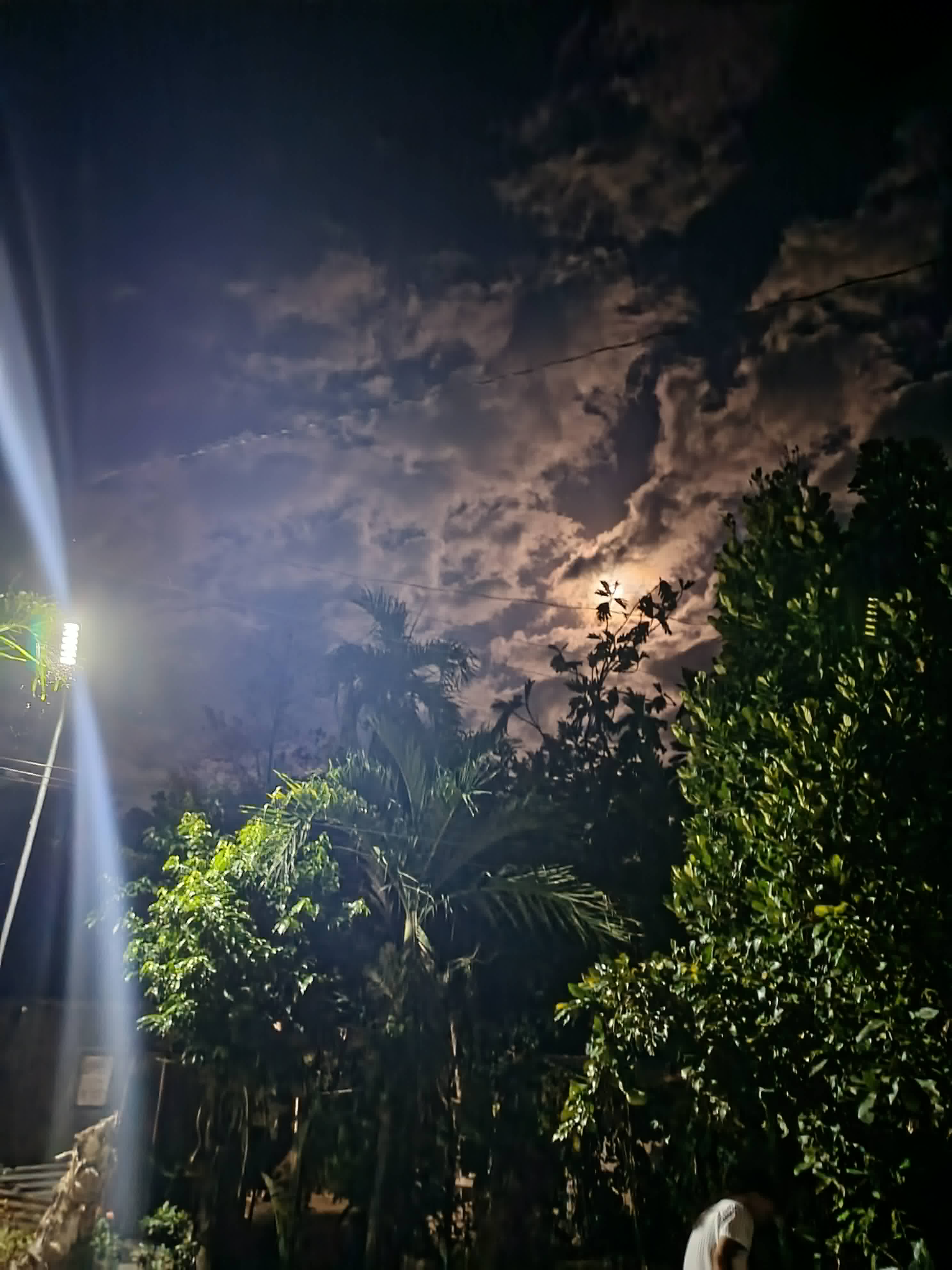 Scenery 9